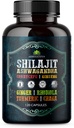 Shilajit for menn – 8-i-1 Adaptogen Supplement med Ashwagandha, Cordyceps, Ginseng, Rhodiola, Turmeric, Chaga & Ginger – Naturlig energi, Stress Relief & Immun Support – 120 Vegan Kapsler