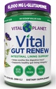 Vital Planet - Vital Gut Renew pulver Supplement for Leaky Gut Repair med L-Glutamine, Marshmallow og Ginger Root, DGL Licorie Root og Organic Aloe Vera, L Glutamin 6000mg 13,76 oz