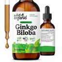 Wild & Organic Ginkgo Biloba Tinktur - Brain & Focus Støtte med Ginkgo Leaf Supplement - Vegansk, Sukker og alkoholfri Herbal Extract Tinktur - 2 fl oz