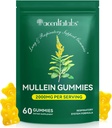 Mullein Gummies for Lung Cleanse,Natural Mullein for Lung Cleanse Support,Lung Cleanse for Røykere,Mullein Herbal Kosttilskudd med Klorofyll (60 Chews)