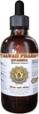 Quassia flytende ekstrakt, Quassia (Quassia Amara) Tinktur, Herbal Supplement, Hawaii Pharm, laget i USA, 4 floz