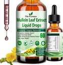 Mullein Drops for Lungs, Organisk Mullein Leaf Ekstrakt for Lung Detox v. Klorofyll Elderbær Oregano Olje Resveratrol Mullein Tinktur alkohol gratis, Original Flavor, 2 f Fl/Oz