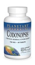 Planetary Herbals Codonopsis Tabletter, 750 mg, 60 greve