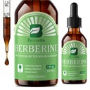 Berberine HCL Supplement med ceylon kanel - Liposomal berberine fytosom flytende dråper med gurkemeie, ceylon kanel, biter melon, melk tistel, AMPK aktivator for digestion støtte