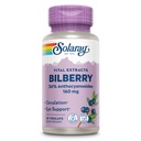 SOLARAY Bilbær ekstrakt 160 mg, øyehelse og sirkulasjonsstøtte, 36% Anthocyanosider Plus Blueberry, Vegan, 30 Vegkaps