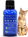 HA4E - Cat UTI Remedy - Naturlig nevralitetsstøtte for katter - Støtter Bladder & Urinal Helse - Renser ikke-GMO, organisk, kjemisk-fri - 300 Tabletter