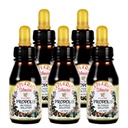Offisiell distributør - 5 flasker Apiario Silvestre Brasiliansk Grønn Bee Propolis Fluid Glykolic Extract-Non Alkoholic, Wax Free, Sukkerfri (PG)