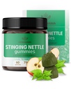 HERBAMAMA Stinging Nettle Gummies - 7500mg Stinging Nettle Root Extract for Urine Tract Support for kvinner og menn - Vegansk, ikke-GMO Urtica Dioica Supplement - 60 Pectin-basert Apple-Flavored Chews