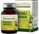 Banyan Botanicals Yogaraj Guggulu - Organisk felles støtte Supplement ---Ayurvedic blanding for å støtte skjeletal- og nevromuskulære systemer * - 90 tabletter - ikke-GMO, Sustainly Sourced, Vegan