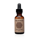 Paavani Ayurveda øreolje - laget i USA - Ayurvedic herbal øredråper - kløende ører og ører Relief - 100% organisk, 1 oz