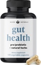 All-in-One Gut Health w/Probiotika, Prebiotika, Digestionsstøttende urter, og Adaptogens - Leaky Gut Repair Formula for å støtte Gut Lining, Aid i Digestion, og fremme gode bakterier