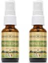 Honninghager Bee Propolis Throat Spray | med apiterapi Rå honning, lakrisrot og Usnea | 50 serveringer | 1 fl Oz | Pakke med 2