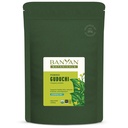Banyan Botanicals Organic Guduchi Powder – Organic Immune Health Supplement – for naturlig detox, balansert dialyse og sunn hud* – 1 lb – ikke-GMO Sustainablely Sourced Vegansk FFL