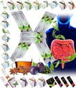 Alle naturlige Detox Cleanse Instant Tea Mix Prune & Plum w. Fiber & Inulin for Optimal Intestinal Transit av Fuxion Prunex 1 (10 Sachets)