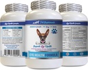 Øyepleie for hunder - Hunde Eye Health Formula - Advanced Eye Support Complex - VETS Anbefalt, Hunde Cranberry, Eye Vision Supplement for hunder, Tilskudd for øyepleie, Øye støtte vitaminer 1Bot 60Tabs