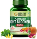 Generisk plantebasert DHT Blocker med godhet av Nettle Leaves | for menn og kvinner - 60 Veg Kapsler