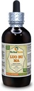 Luo Bu Ma, Dogbane (Apocynum Venetum) Tinktur, tørket blad flytende ekstrakt (Brand Navn: HerbalTerra, stolt laget i USA) 4 fl.oz (120 ml)