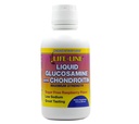 Naturens blanding glukosamin w / chondroitin Max styrke, bringebær, 16 oz.