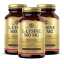 Solgar L-Lysine 500 mg - 100 Grønnsaker Kapsler, Pakke med 3 - Hud og vevsstøtte - Non-GMO, Vegan, Kosher, Glutenfri - 300 Total Services
