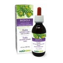 Naturalma Rhodiola rosea (Sedum roseum) Root alkohol-fri tinktur - 4 fl oz flytende ekstrakt i Drops - Herbal Supplement - Vegan