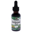 Naturens svar Goldenseal Root | Herbal Supplement | Støtter et sunt immunsystem | Glutenfri og alkoholfri 1oz