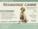Fordeler Canine