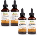 Maxx Herb Astragalus Root Extract - Maks styrke flytende tinktur absorber bedre enn kapsler eller pulver, for immunstøtte og mental klarhet - 4 flasker, 4 oz hver (240 serveringer)