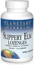 Planetary Herbals Slippery Elm Lozenges, Herbal Throat støtte, 24 Lozenge