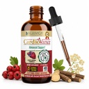 Rejuvica Health CardioVance - hjerte støtte supplement - flytende levering for bedre absorpsjon - Hawthorne, Hibiscus, Arjuna, Olive Leaf & Mer!