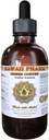 Grønn kaffe flytende ekstrakt, grønn kaffe (Coffea Arabica) Bean pulver tinktur supplement 4 oz