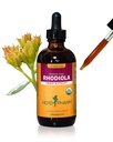 Herb Pharm Certified Organic Rhodiola Root Extract for energi, utholdenhet og utholdenhet, alkoholfri glyceritt, 4 Ounce