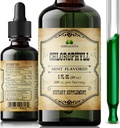 Klorofyll flytende dråper – organisk naturlig detox og rensing støtte – øke energi, immunisme og metabolisme – Vegan, ikke-GMO, Mint Flavor, 2 fl oz – natrium kobber klorofyllin ekstrakt – laget i USA