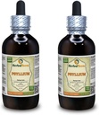 Psyllium (Plantago Ovata) Tinktur, organisk tørket frø flytende ekstrakt (merket navn: HerbalTerra, stolt laget i USA) 2x4 fl.oz (2x120 ml)