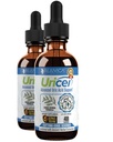 Uricel - Avansert Uric Acid Support & Cleanse Supplement - Flytende levering for bedre absorpsjon - Tart Cherry, Chanca Piedra, Celery Seed, Turmeric og mer!