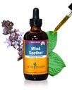 Herb Pharm Mind Sother: Holy Basil: Flytende Kava Supplement for å støtte ro og avslapping, stabilisere støtte for nervesystemet, laget med Noble Kava & Lavender Blomster, Vegan, Glutenfri, 4 oz*