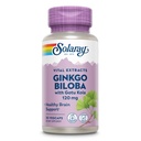 SOLARAY Ginkgo Biloba Extract with Gotu Kola - Ginko Biloba Capsules for Brain Health Support - Vegan, Lab Verifisert, 60-dagers garanti - 60 Services, 60 Vegkapsler (30 VegCaps)