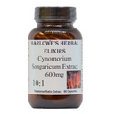 Cynomorium Songarium Extract 10:1 | 600mg per kapsel | Herbal Supplement for utholdenhet, vitalitet og velvære | 60 Vegan Kapsler | Stearate-Free, Glassflaske