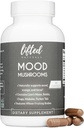 Mood Mushrooms - Heiset Mushroom Supplement - Lion's Mane, Reishi, Chaga, Tyrkia Tail, Maitake - Energi, Fokus, Stress Relief