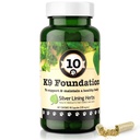 Silver Lining urter Overall Hunde Helse Supplements 10 K9 Foundation - Naturlige Canine Supplements for Hunder Lever, Nyre, Digestion, Vitality & Immune System Support for Hunde - 90 Kapsler