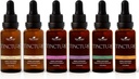 Planteterapi Organiske Tinkturer Nybegynner Sett 30 ml Hver av økologiske Ashwagandha, Asiatisk Ginseng, Echinacea Blande, Elderberry, Lemon Balm & Turmeric