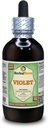 Violet (Viola Yedoensis) tørket Herb alkoholfri væskeekstrakt (merkenavn: HerbalTerra, stolt laget i USA) 4 oz
