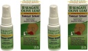 Seagate produkter Homeopatisk Olive Leaf Throat Spray 1 ounce Unflavored 2pack