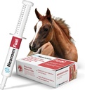Jeguar Animal Health Foal - Equine Supplement Paste for støtte av riktig Hydration & Bowell Health - Plantebasert produkt for forhåndsvænnede Foals (30 ml)