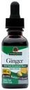 Naturens svar Alkoholfri Ginger Root, 1-Fluid Ounce | Inflammatory Support | Støtter Digestion