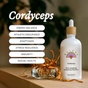 Rainbo - Cordyceps Mushroom Tinktur - Dual Extract Mushroom Supplement - Immun Support, Energi, Flytende Cordyceps Supplement, Vegansk, Ikke GMO, 3.4 fl oz