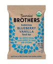 Bearded Brothers, Organic Vegansk Protein Energy Bars, Blåbær Vanilla (12 Pack) - Glutenfri, Paleo, Fiber, Hele 30 | Ikke GMO Lav Glykemiske Snacks