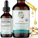 Astragalus Tinkture - Støtte for immunsystem, Respiratorisk støtte, Digestive System Support, Maca, Herbal Supplement - 2 Fl Oz