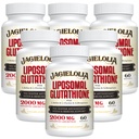 Liposomal Glutation 2000 mg med L-Serin, L-Glycine & Sulforaphane - Aktiv L-Glutation Unik formulering for å forbedre absorpsjon - Master Antioksidant, Detoksifisering & Immune ® 360 Softgels