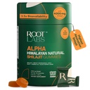 10 i-1 Alpha Shilajit Gummies |  4000  4000 mg ren Himalayan Shilajit, Tongkat Ali, Maca Root, 75% Fulvic Acid | Shilabsorb Biotilgjengelighet Tech | Sukkerfri Vegan, 85+ Trace Minerals | 60 Pack