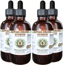 Afrikansk Cherry Pygeum alkohol-fri flytende ekstrakt, afrikansk Cherry Pygeum (Prunus Africana) Bark Glycerite Natural Herbal Supplement, Hawaii Pharm, USA 4x4 oz